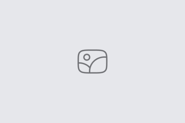 I Need Web App Developer